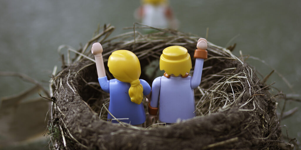 The Empty Nest The Empty Nest