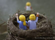 The Empty Nest