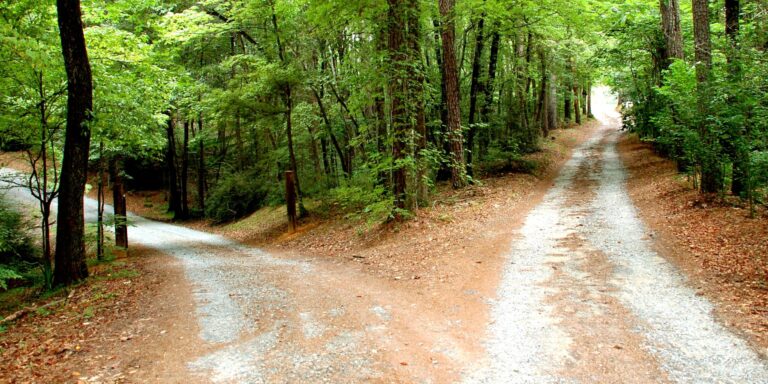 Today’s Decisions, Tomorrow’s Impact