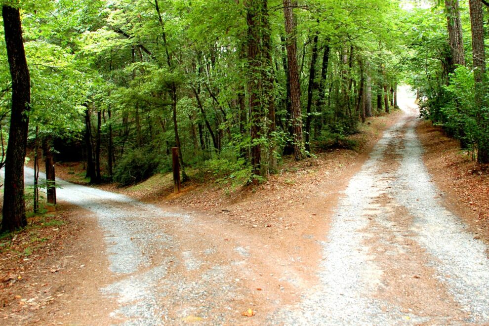 Today’s Decisions, Tomorrow’s Impact