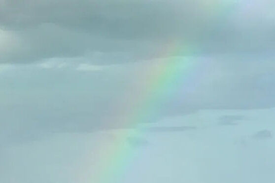 Did Hurricane Irma loosen your screws? Palm Beach Post