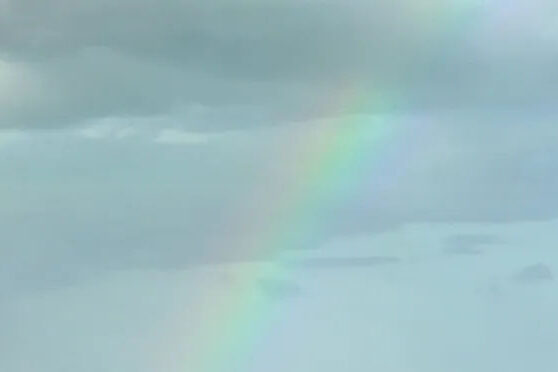 Did Hurricane Irma loosen your screws? Palm Beach Post