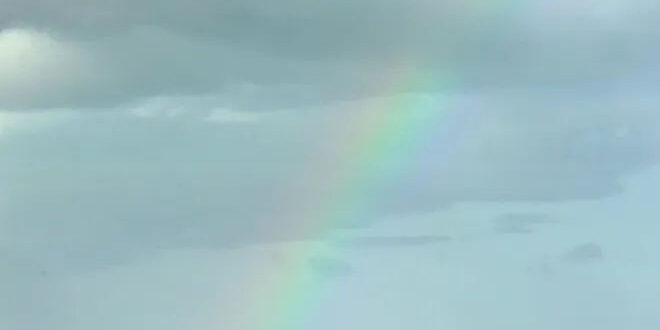 Did Hurricane Irma loosen your screws? Palm Beach Post